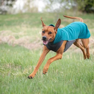 Pomppa Jumppa Forest manteau polaire chien