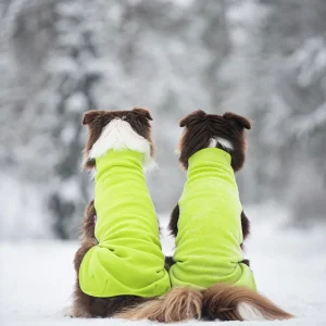 Pomppa Jumppa manteau polaire Lime chien