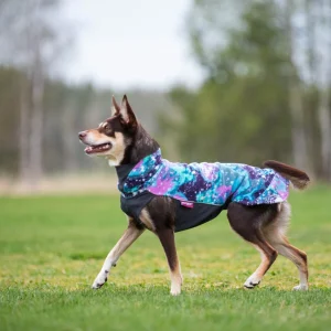 Pomppa Jumppa manteau polaire pour chien Aurora