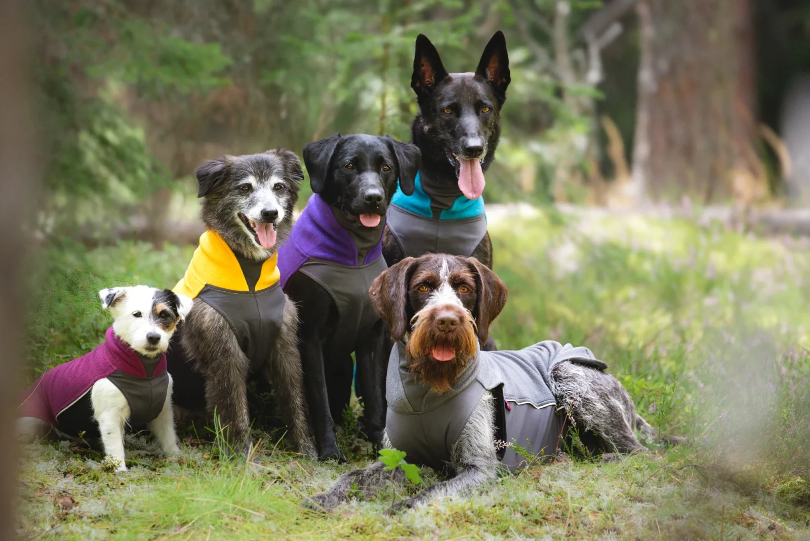 Pomppa Jumppa manteau polaire pour chien Dandelion - Image 2