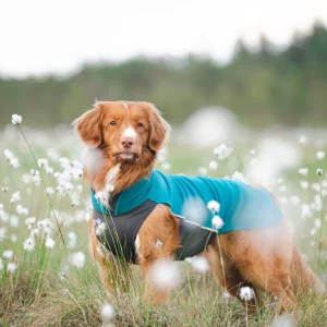 Pomppa Jumppa manteau polaire pour chien Petrol