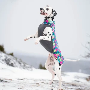 Pomppa Jumppa Trail manteau polaire chien