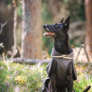 Pomppa Kevyt Graphite manteau imperméable chien