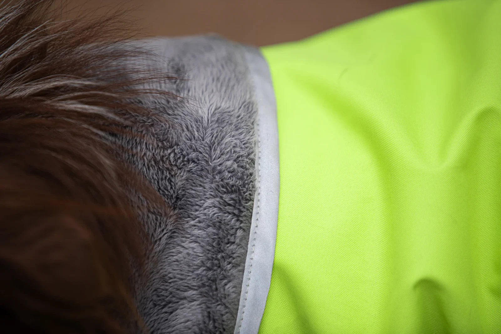 Pomppa Kevyt Lime manteau imperméable chien - Image 2