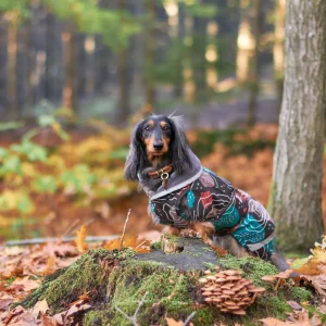 Pomppa Kevyt manteau imperméable pour chien Kartta