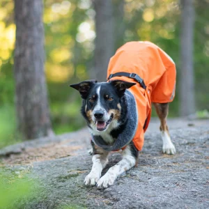 Pomppa Kevyt manteau imperméable pour chien Orange