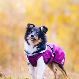 Pomppa Kevyt Plum manteau imperméable chien