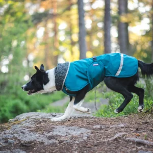 Pomppa Perus manteau imperméable pour chien Petrol