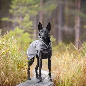 Pomppa Sade Graphite manteau imperméable chien