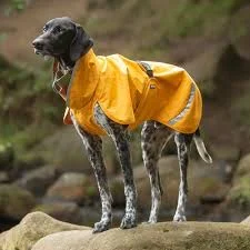 Pomppa Sade manteau imperméable pour chien Curry