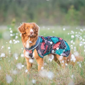 Pomppa Sade manteau imperméable pour chien Kartta