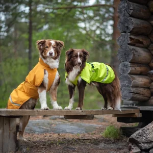 Pomppa Sade manteau imperméable pour chien Lime