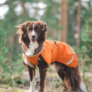 Pomppa Sade manteau imperméable pour chien Orange