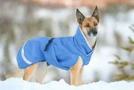 Pomppa Sade manteau imperméable pour chien Sky - Image 2