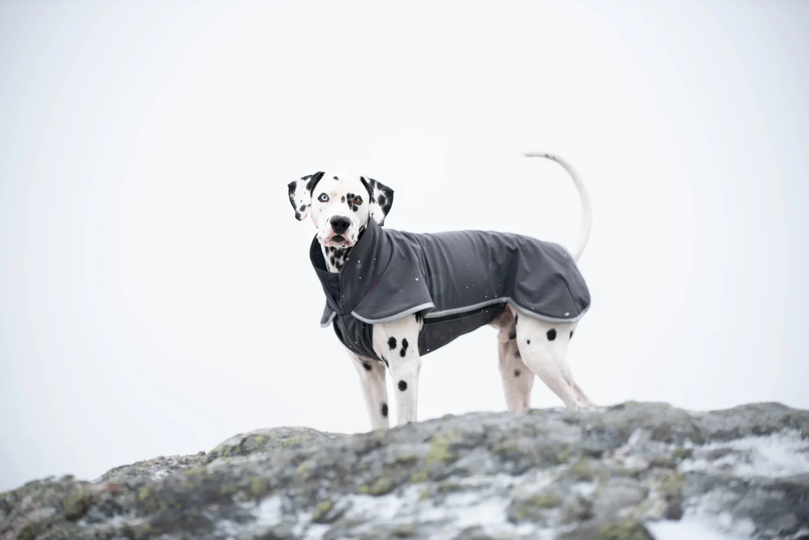 Pomppa Sportti Graphite manteau imperméable et chaud