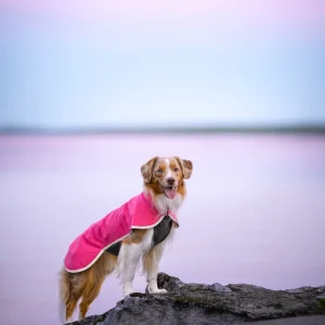 Pomppa Sportti Pink - manteau imperméable et chaud chien
