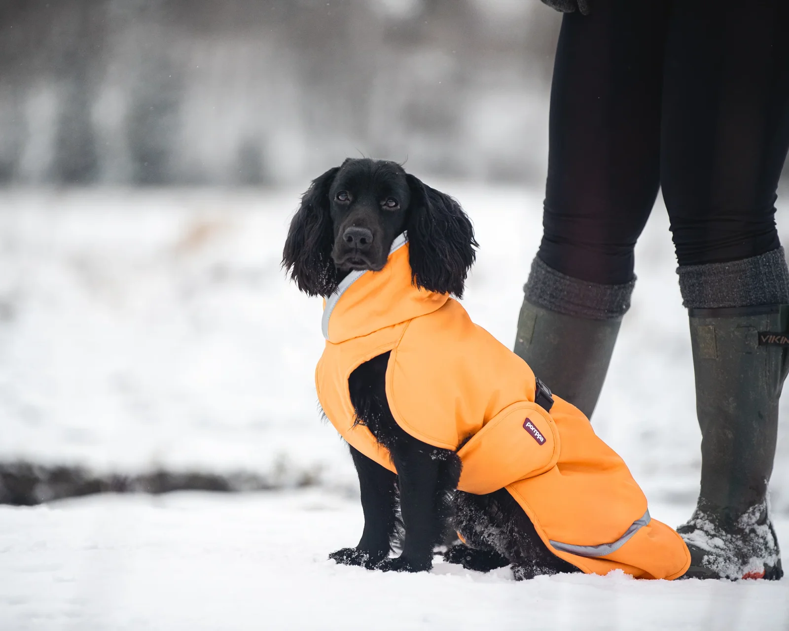 Pomppa Toppa Curry manteau imperméable doublé chien - Image 2