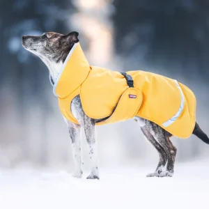 Pomppa Toppa Dandelion manteau imperméable doublé chien