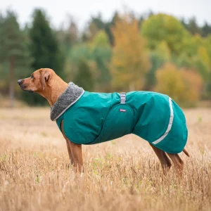 Pomppa Toppa Forest manteau imperméable doublé pour chien