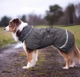 Pomppa Toppa Graphite manteau imperméable doublé pour chien - Image 2