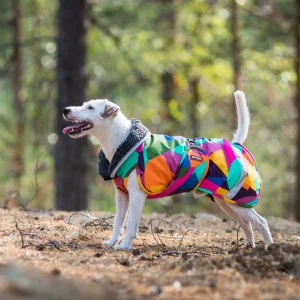 Pomppa Toppa manteau imperméable doublé pour chien Kymppi