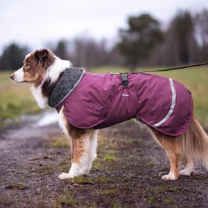 Pomppa Toppa manteau imperméable doublé pour chien Plum