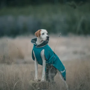 Pomppa Toppa Petrol manteau imperméable doublé chien