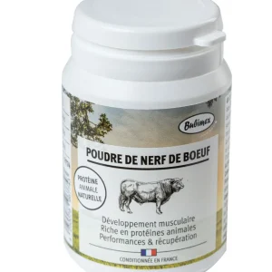 Poudre de nerf de boeuf chien