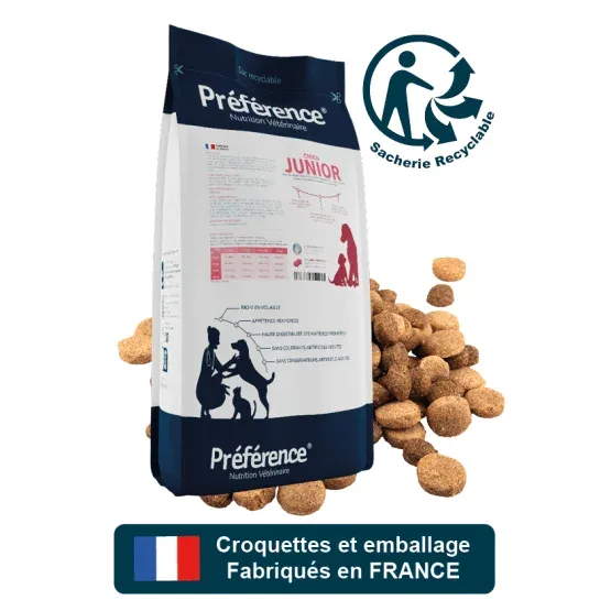 Préférence Chien Junior – placedesvetos.com