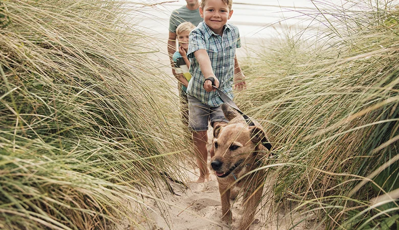Probiotiques pour chiens : quand les donner et à quoi servent