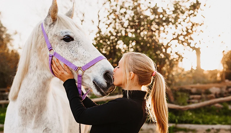 Problèmes de santé fréquents chez les chevaux et comment les prévenir