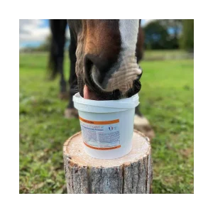 Produit digestion cheval – La boutique de l’Arbalou