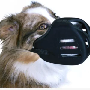 Proguard, muselière panier pour chien tuffie – Animalerie en ligne Animauxenligne.com