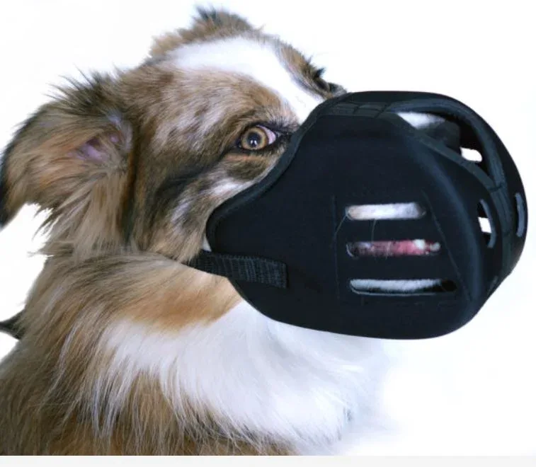 Proguard, muselière panier pour chien tuffie – Animalerie en ligne Animauxenligne.com