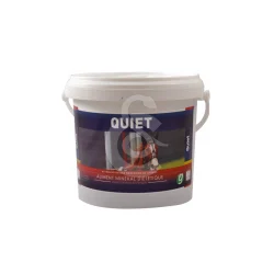 Quiet