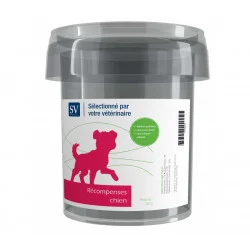 Récompenses Chien