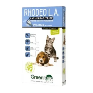 Rhodeo l.a Chiot Chaton
