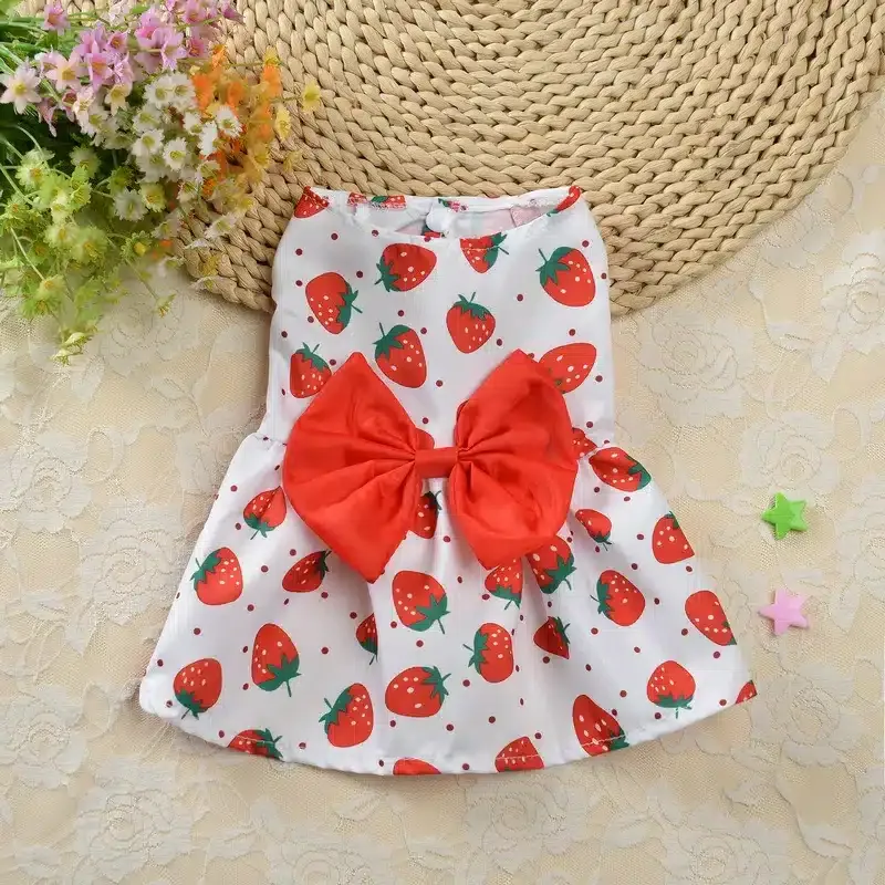 Robe chihuahua fraise rouge