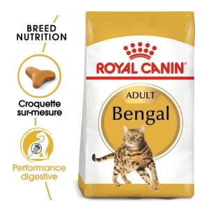 Royal Canin Bengal Adult - croquettes chat