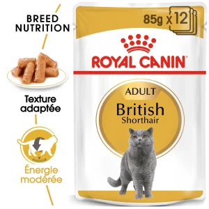 Royal Canin British Shorthair Adult pâtée pour chat (en sauce)