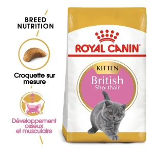 Royal Canin British Shorthair Kitten - croquettes chaton