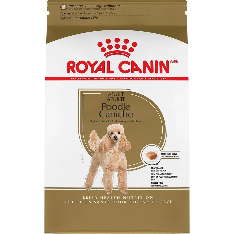 Royal Canin – Chien Adulte Caniche – Nourriture Sèche pour Chiens
