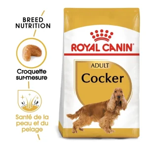 Royal Canin Cocker Adult - croquettes chien