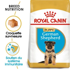 Royal Canin - Croquettes Berger Allemand Junior pour Chiot - 12Kg