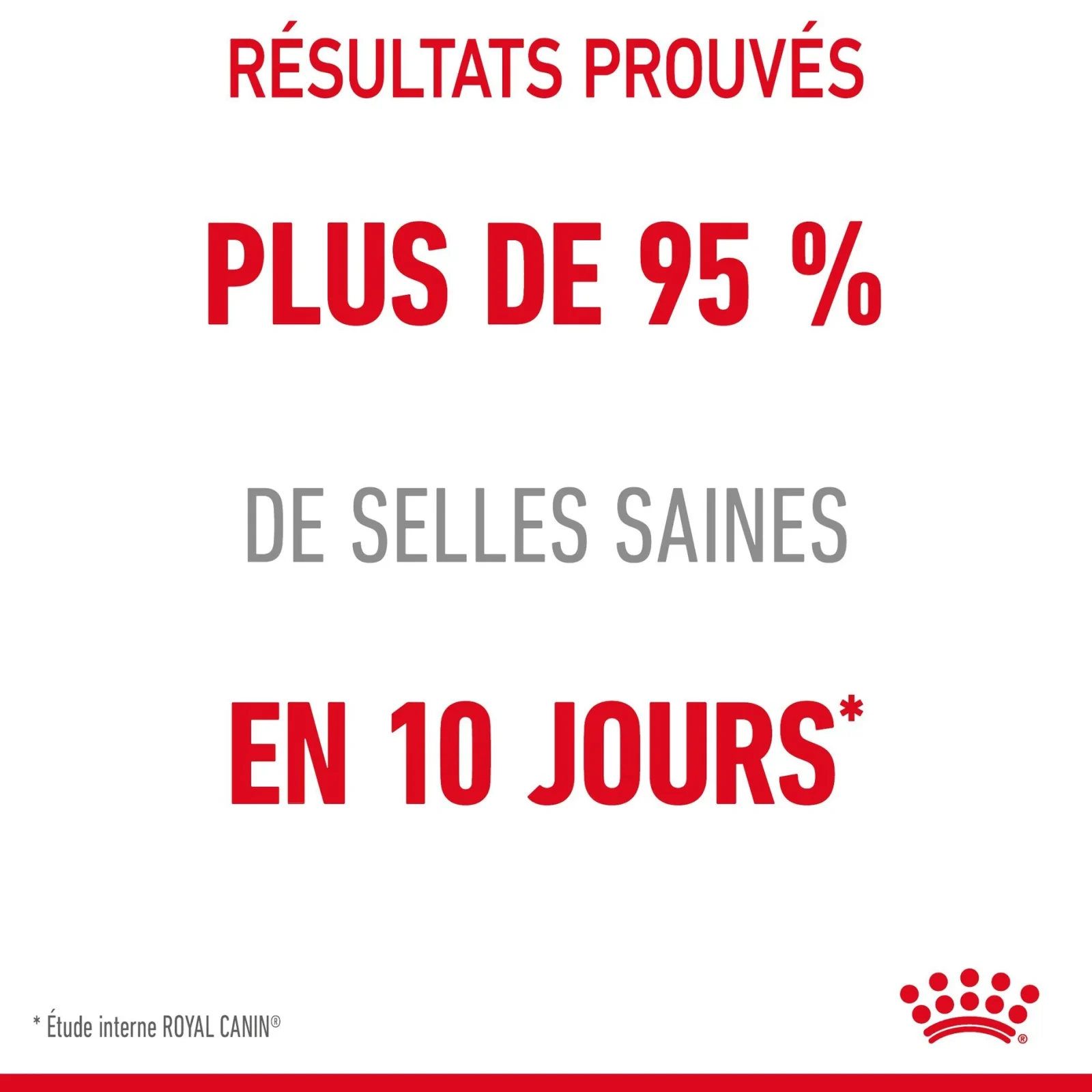 Royal Canin Digestive Care en mousse - pâtée chat - Image 2