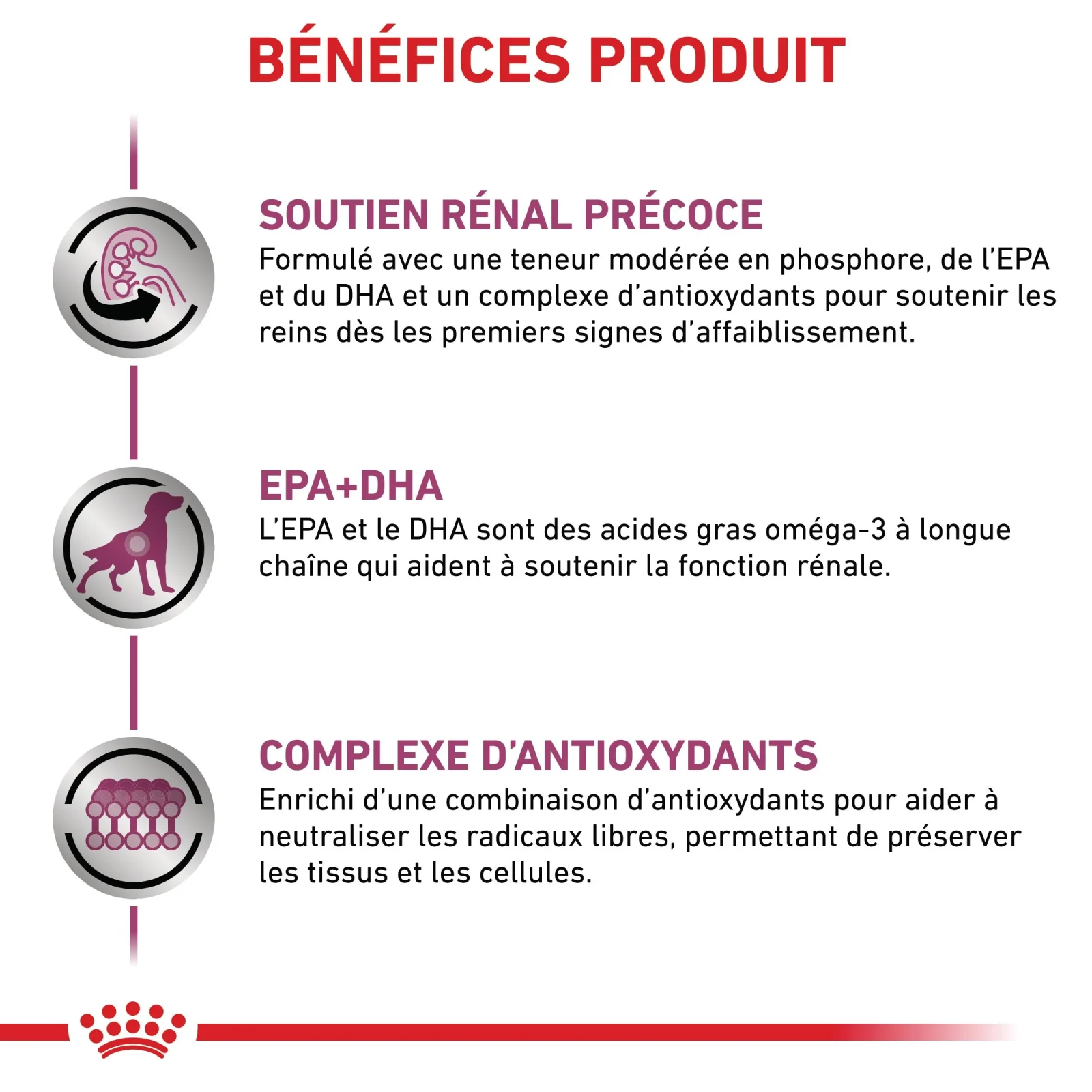 Royal Canin Early Renal - pâtée chien - Image 2
