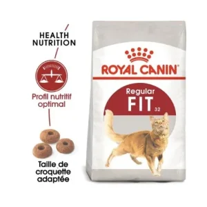Royal Canin Fit 32 - croquettes chat