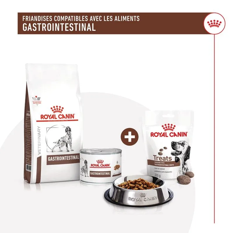 Royal Canin Gastrointestinal Treats chien - Image 2