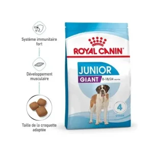 Royal Canin Giant Junior - Croquettes pour chiot