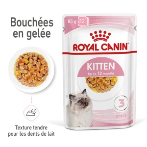 Royal Canin Kitten en gelée - pâtée chaton